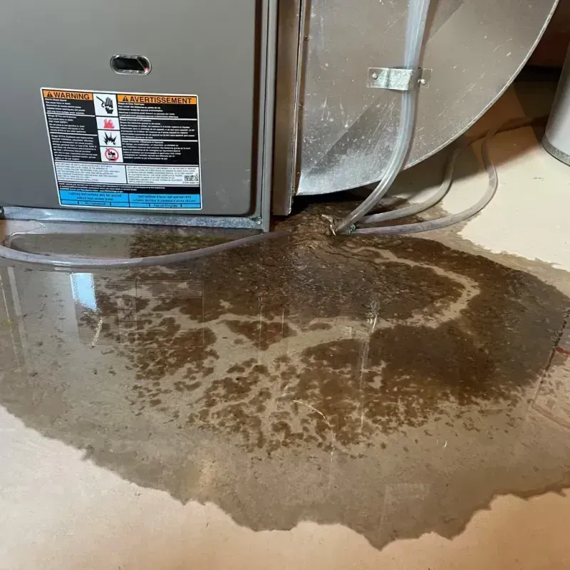 Appliance Leak Cleanup in Boca Pointe, FL